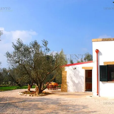 Ville Gina 4 Camere E 2 Bagni * Torre Pali
